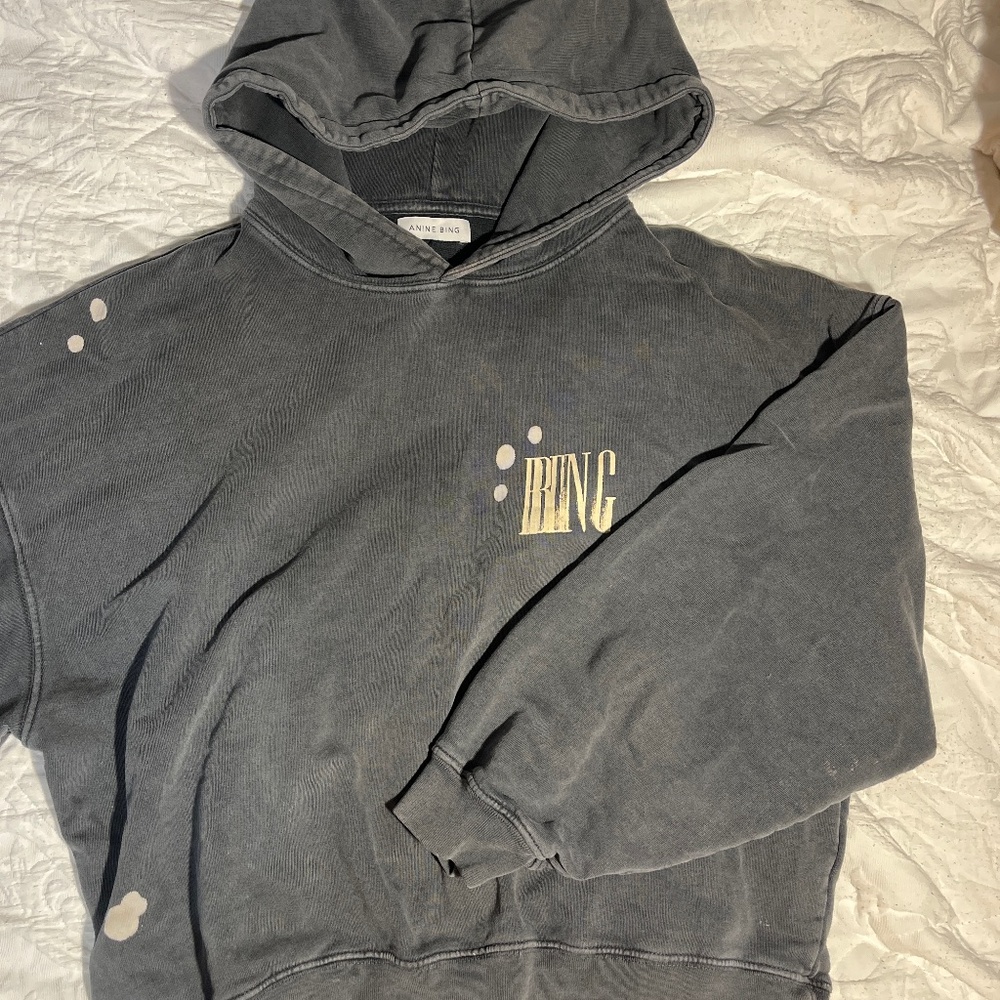 Anine Bing bleached Alec hoodie